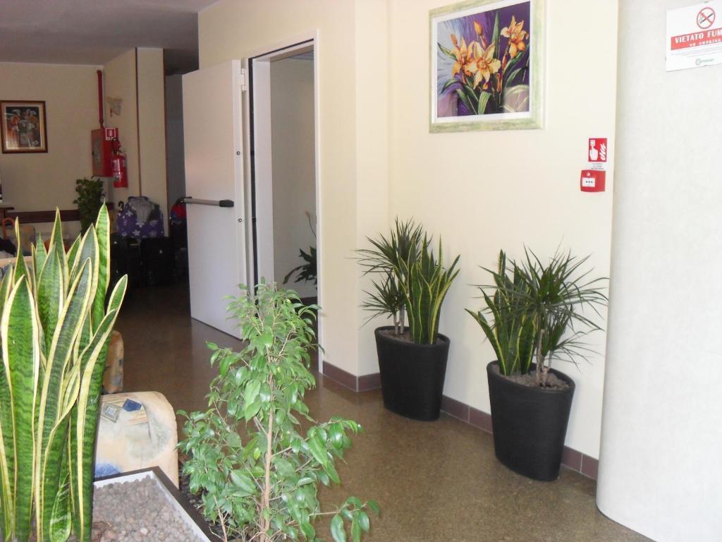 Hotel Zani Cervia Eksteriør billede